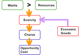 经济代写|Microeconomics代考微观经济学代写|How the Economy as a Whole Works