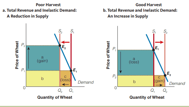 经济代写|宏观经济学代写Macroeconomics代考|How Does the Price Elasticity of Demand Impact Total Revenue?